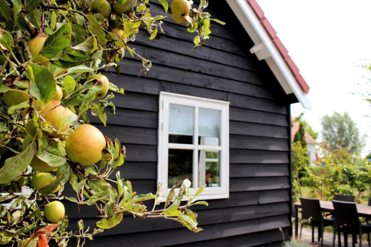 'T Schouws Uusje Villa Burgh-Haamstede Ngoại thất bức ảnh