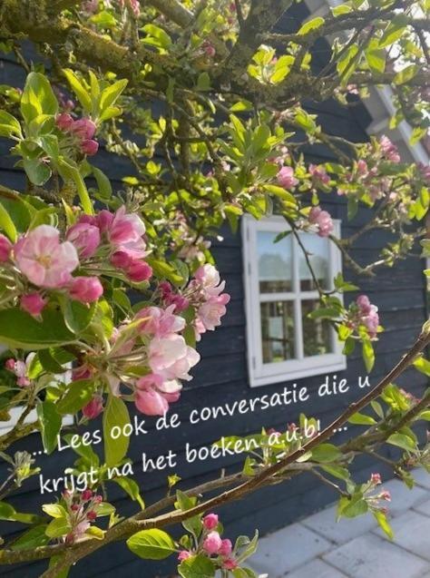 'T Schouws Uusje Villa Burgh-Haamstede Ngoại thất bức ảnh